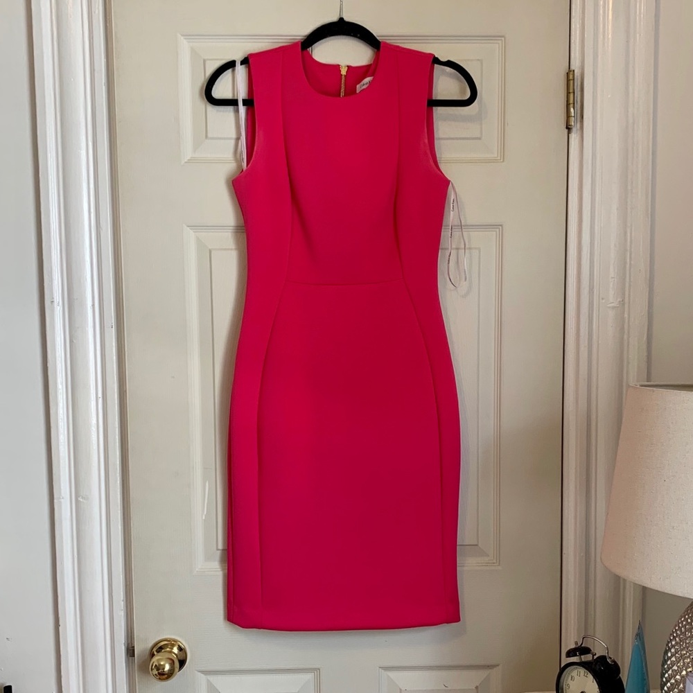 Calvin Klein Hot Pink Dress